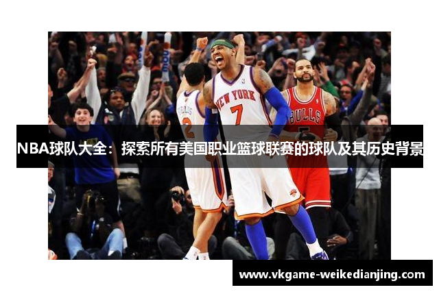 NBA球队大全：探索所有美国职业篮球联赛的球队及其历史背景