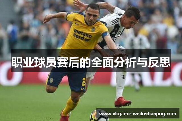 职业球员赛后的全面分析与反思